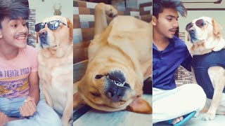 Best dog comedy videos😂 | tiktok viral | funny talking dog🐶 | Anant rastogi