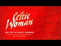 Celtic Woman Christmas ǀ Jesu Joy Of Man's Desiring