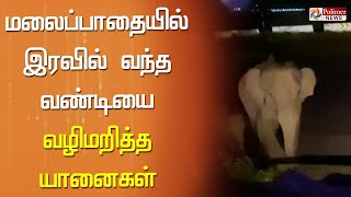 மலைப்பாதையில் இரவில் வந்த வண்டியை வழிமறித்த யானைகள்! வீடியோ காட்சி சமூக வலைத்தளங்களில் பரவல்..!