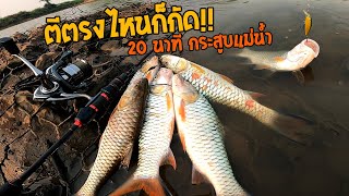 20 นาที หมายกระสูบแม่น้ำ ตีตรงไหนก็กัด!! น้ำแห้งกระสูบเย๊อะ!! กัดดีมาก!! - ทริปสั้นๆ