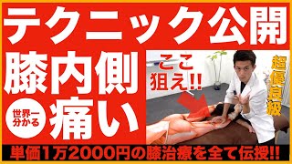 【治療テクニック公開】30秒で膝内側痛を消す腓腹筋リリース公開