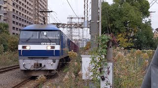 【押桃牽引遅延貨物】JR貨物 EF210-316号機+コキ20B 吹A136仕業[5075レ] 福岡タ行 小田栄駅通過！