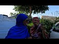 home garden u0026 farm harvesting hargeisa somaliland 2024