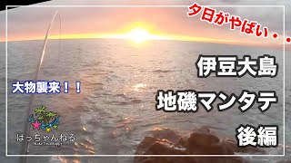 【伊豆大島地磯】マンタテ後編 夕マズメ!!大物到来!? 【伊豆大島リベンジャーズ】2019冬⑤