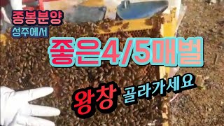 *((판매완료))성주에서 봉판좋은 4/5매벌135군 소개합니다