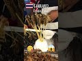 deep fried scorpions cockroach insects shorts thailandexoticfood