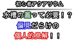 【初心者アクアリウム】水槽の蓋って必要！？偏見だらけの個人的見解！！