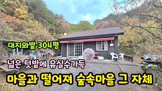 ((급매))[No.804]마을과 떨어져 숲속마을 그 자체인 넓은텃밭 있는 예쁜집