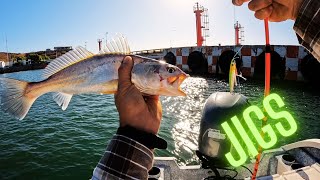 CORVINAS en MUELLE de PEMEX #fishing #pescadefondo