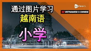 通过图片学习越南语|越南语词汇小学 | Golearn