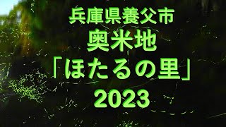 ほたるの乱舞！兵庫県養父市奥米地「ほたるの里」2023　2023年6月16日19:30～21:00　(日没19:13）