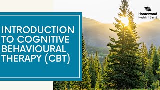 Introduction to Cognitive Behavioural Therapy (CBT)