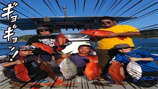 日本で一番、シガテラ毒に当たってるかもしれない美味しい魚