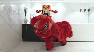 Chinese New Year Lion Dance 2021 | Wushu Project | Toronto, Canada | Galleria on the Park