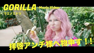 【本気でiPhoneでMV撮影してみた】マエノミドリ - GORILLA【拝啓アンチ様】