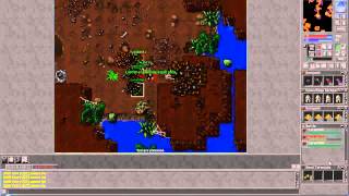 Tibia (Low-Mid Level Characters #1) - Knight at Tiquanda Tarantula Caves and Hide (Level 25-49)