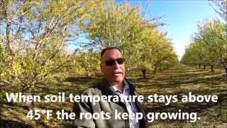 Marc Suderman #333  |  Fall Fertilizing and Soil Temperature  |  11-16-2015