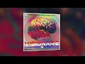 The Darrow Chem Syndicate - Visionario (Hankook & Kalocom Remix)