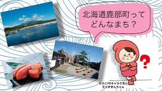 北海道鹿部町ってどんなまち？