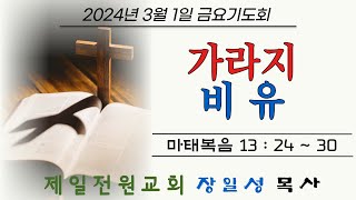 제일전원교회 3월1일 금요기도회 (가라지 비유)