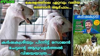 കേരളത്തിലെ ഏറ്റവും വലിയ മലബാറി ആട് ഫാം... GOATS VILLA... //KUNJI'S VLOG//