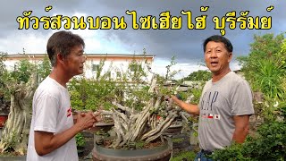 Bonsai Station [Tour Station] EP.28 ทัวร์สวนเฮียไฮ้ บุรีรัมย์