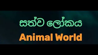 Animal World  සත්ව ලෝකය