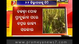 ଚକଡା ଚିନ୍ତା ; ଚାଷୀଙ୍କୁ ସଚେତନ କରିବାକୁ ୨୨  ଜିଲ୍ଲାପାଳଙ୍କୁ ଚିଠି ଲେଖିଲେ କୃଷି ସଚିବ