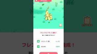 【睡眠リサーチ】【無課金】#shorts　#ポケモン　#ポケモンスリープ