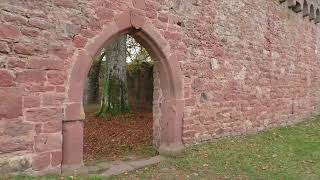 Burg Wildenberg