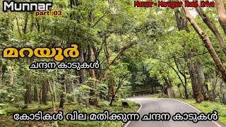 Marayoor Sandal Forest | Government property of marayoor | കോടികൾ വില മതിക്കുന്ന ചന്ദന കാടുകൾ😳