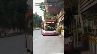 [SMRT] Scania K230UB Euro 4 Batch 1 - SBS8064P on 240, arriving at Opp Lakeside MRT Station