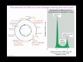 Flow cytometry for DNA analysis