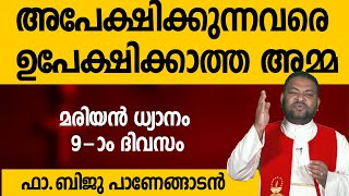 അപേക്ഷിക്കുന്നവരെ.. ഉപേക്ഷിക്കാത്ത അമ്മ : ഫാ ബിജു പാണേങ്ങാടൻ  Fr.Biju Panengadan#9