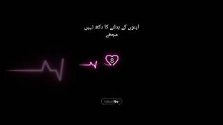 اپنوں کے بدلنے کا دکھ نہیں مجھے Urdu poetry Status Urdu shairy all status