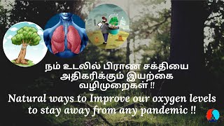 நம் உடலில் பிராண சக்தியை அதிகரிக்கும் இயற்கை வழிமுறைகள் !!Natural ways to Improve our oxygen levels