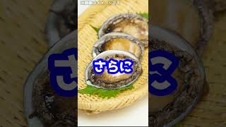 Q：海でバーベキューをするとき、サザエやアワビをとって食べるのは犯罪ですか？#Shorts