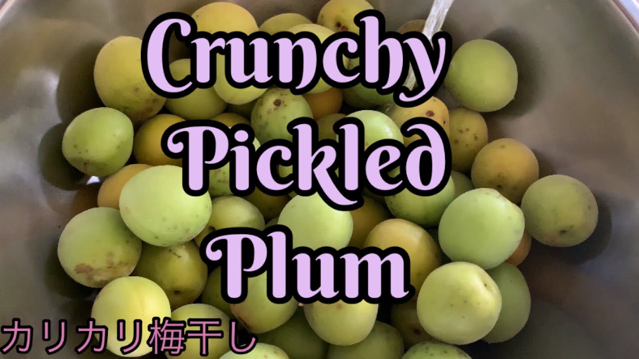 Green Crunchy Pickled Plum Easy Pickled Plum Just In 3 Days 三日間カリカリ