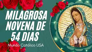 La milagrosa Novena del Rosario de 54 Dias - Dia 6