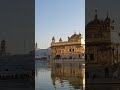 golden temple ਸ੍ਰੀ ਹਰਿਮੰਦਿਰ ਸਾਹਿਬ 🙏🙏🙏🙏 shorts trending amritsar darbarsahib