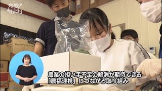 農業経営改革への処方箋「農福連携」（R21009）