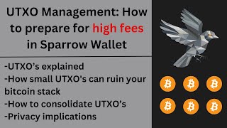 Bitcoin UTXO management: how to prepare for high fees in Sparrow Wallet