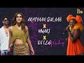 Akhiyaan Gulaab X Mwaki X DJ Leo | Mashup