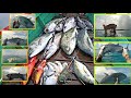 SPEARFISHING INDONESIA 2023 PANAH IKAN DOGTHOOT TUNA DAN BLUEFIN TREVALLY DI AWAL TAHUN