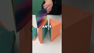 Prepare To Be Amazed Shorts