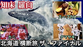 北海道 横断旅【 知床  羅臼 編 】マッコウクジラと羅臼厳選グルメ