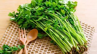 Is it so simple to preserve coriander?Learn this trick,coriander will not change it flavor,practical