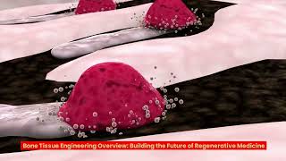 Bone Tissue Engineering Overview | Regenerative Medicine | Bioprinting Techniques