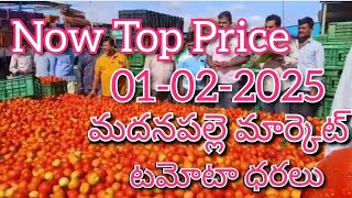 01-02-25#madanapalle tomato market price today#todaytomatoprice🍅#madanapalle#మదనపల్లి