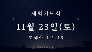 대광교회 새벽기도회 24-11-23 호세아 4장 1 ~ 19절